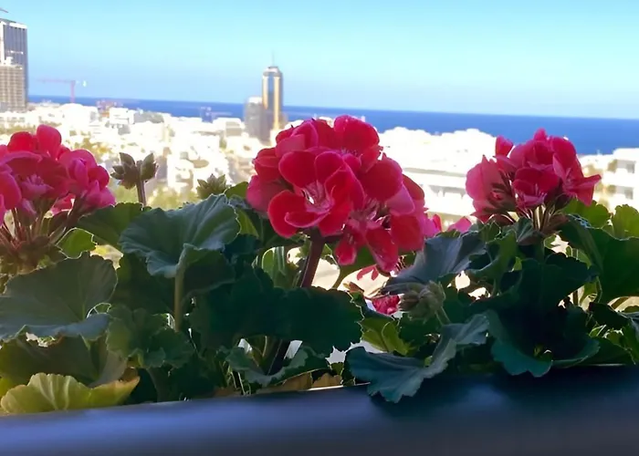 Lejlighed Super Bright And Spacious Seaview Saint Julian's